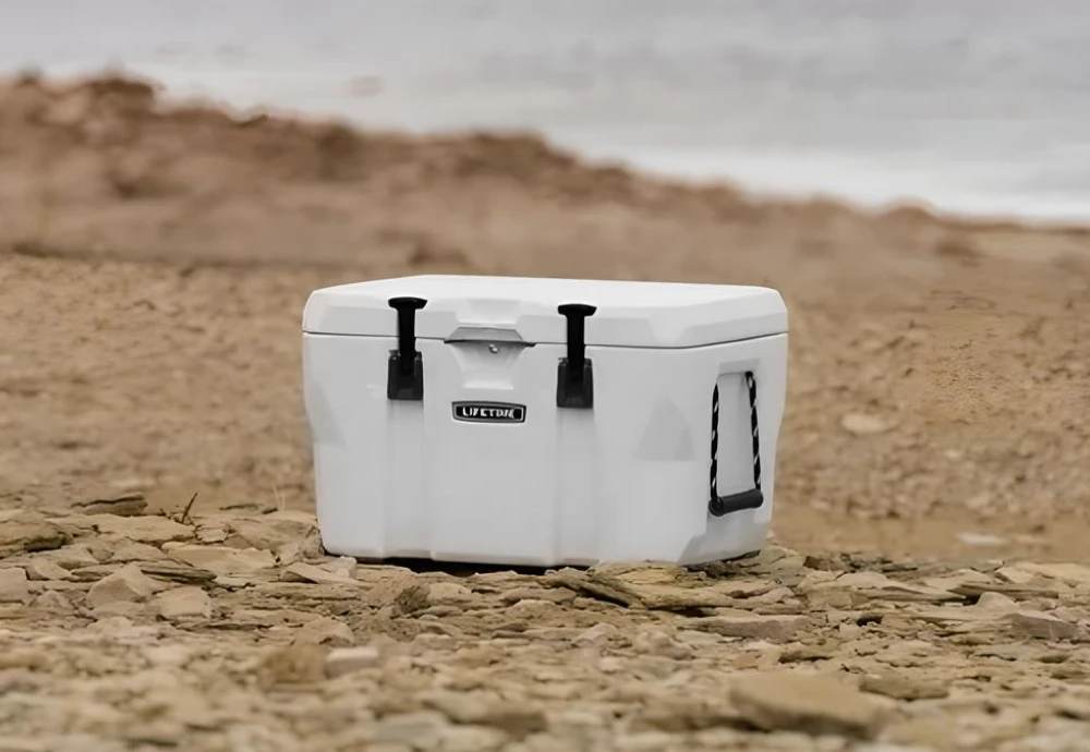 cooler box portable