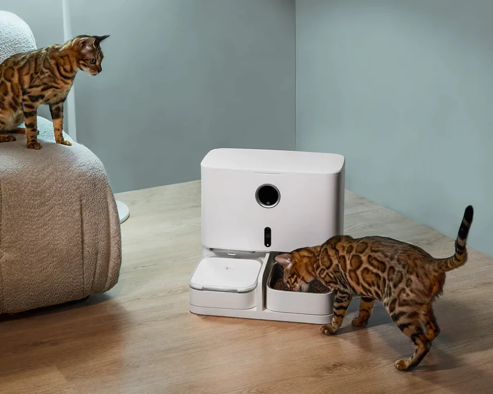 programmable automatic pet feeder